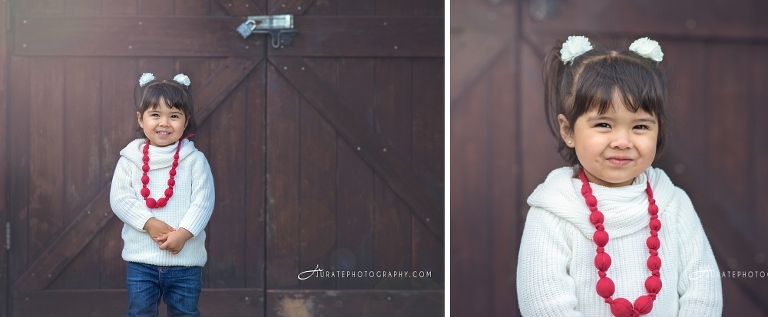 Fall Family portraits Acton family photo session 