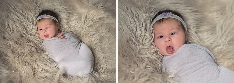 Boston Newborn Photographer