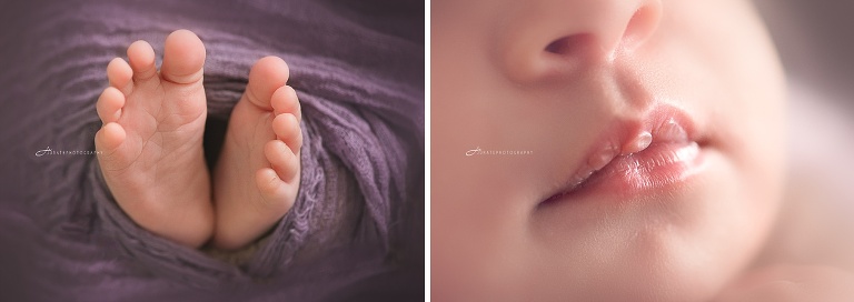 Boston Newborn Photographer