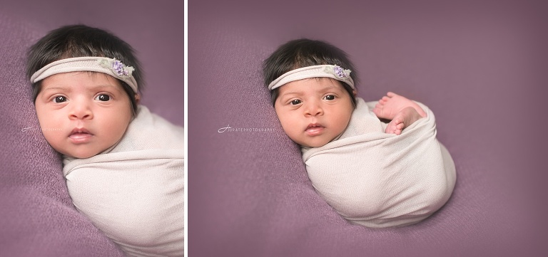 Boston Newborn Photographer
